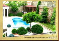 Зелёное Поместье