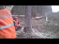 ООО «Призма»